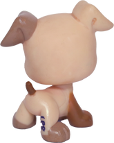 #1516 Boxer